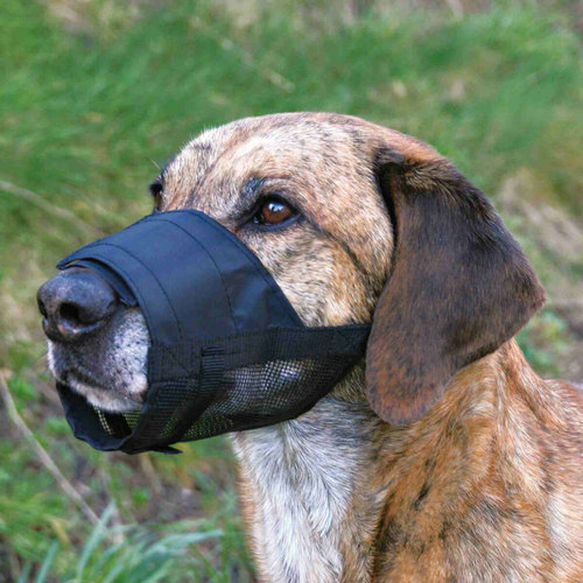 Botniță Trixie Negru L